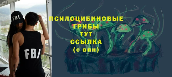 PSILOCYBIN Алексин
