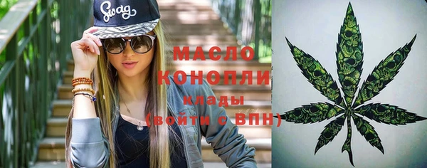 дмт Алексеевка