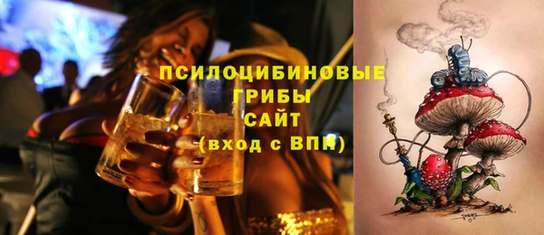 дмт Алексеевка